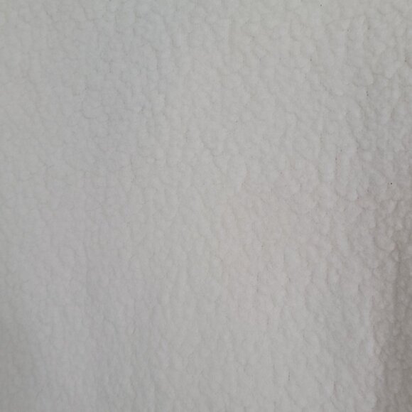 Patagonia Cream With Blue Trim Half Zip Pullover Jacket Size L - Picture 4 of 6